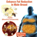 Men Therm Bee Venom | Reduce Chest Fat - Image 2